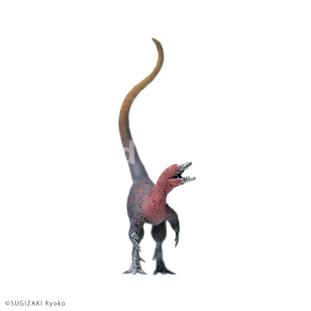 motif : Sinosauropteryx,2015